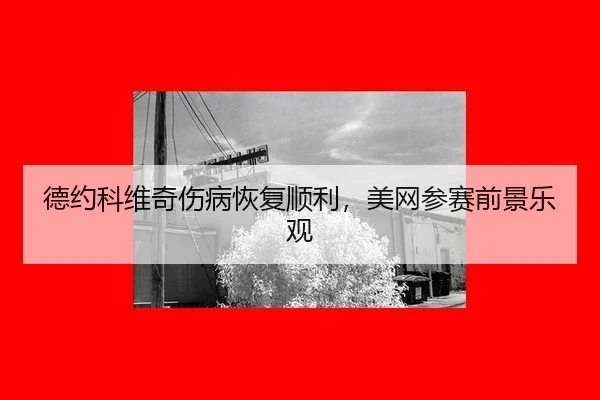 de-yue-ke-wei-qi-shang-bing-hui-fu-shun-li-mei-wang-can-sai-qian-jing-le-guan-3-224.jpg