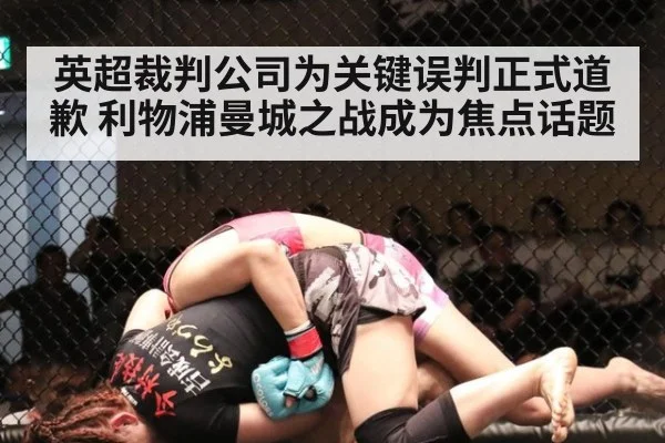 英超裁判公司为关键误判正式道歉 利物浦曼城之战成为焦点话题